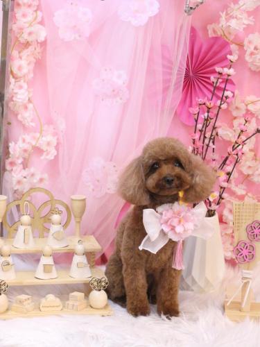 20250330ルアナちゃん